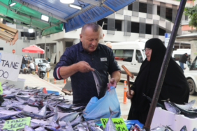 Rize'de tezgahlara gelen palamudun tanesi 50 ile 100 lira arasında satılıyor