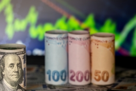 Küresel Piyasalarda Dolar Gerilerken İç Piyasada Döviz Kurları Rekor Seviyelere Çıktı
